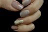Beauty Nails Lounge pic1Beauty Nails Lounge pic2 Beauty Nails Lounge pic3Beauty Nails Lounge pic4