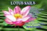 LOTUS NAILS