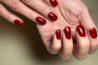 Meisner Beauty Bar