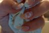 Miss Nails Weil am Rhein
