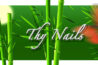 Thy Nails pic1Thy Nails pic2 Thy Nails pic3Thy Nails pic4